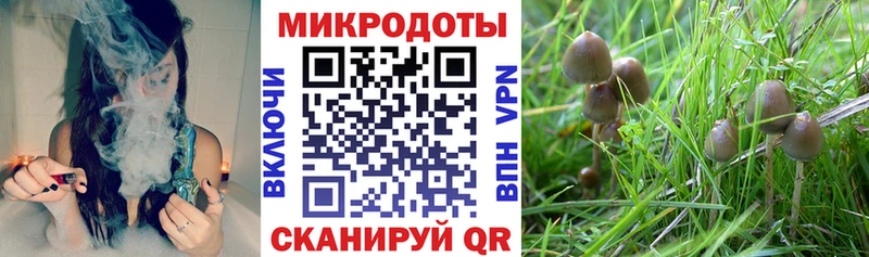 Галлюциногенные грибы ЛСД цена наркотик ОМГ ОМГ онион Суджа